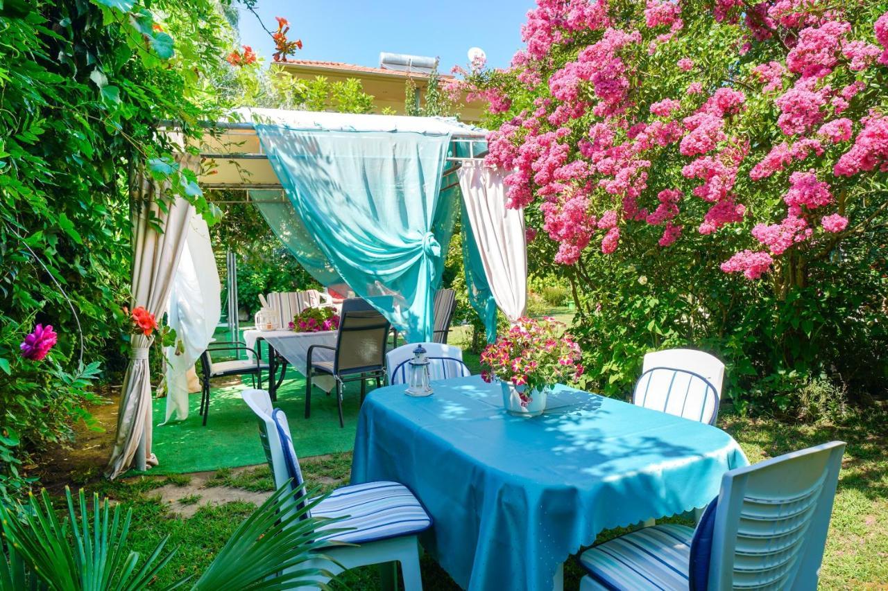 Angel Villa - Thassos Town Zewnętrze zdjęcie