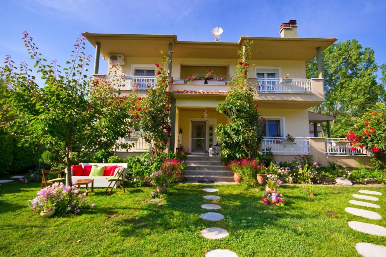 Angel Villa - Thassos Town Zewnętrze zdjęcie
